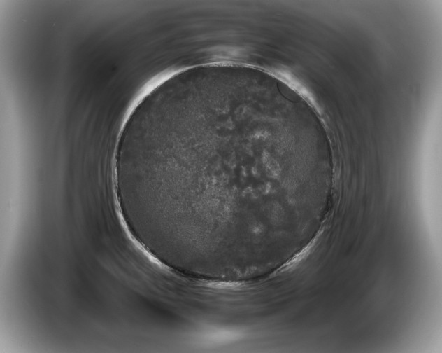 X0000087581239200704271259