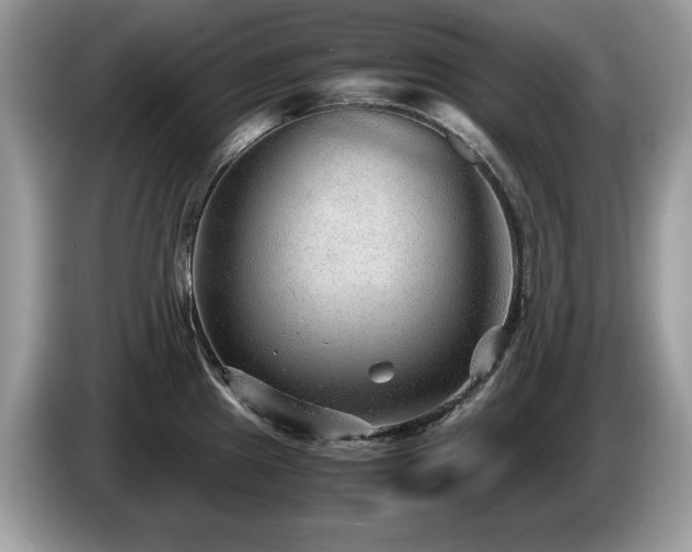 X0000087581241200704271259