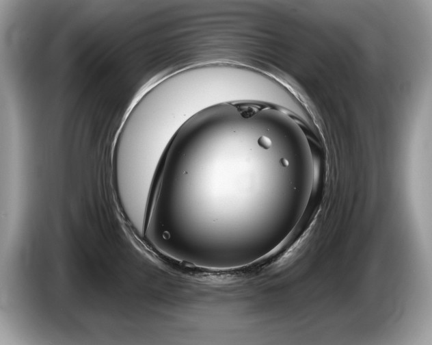 X0000087581242200704271259