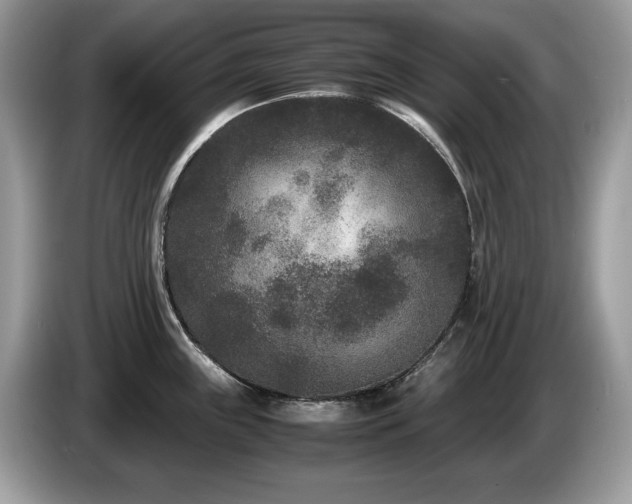 X0000087581243200704271259