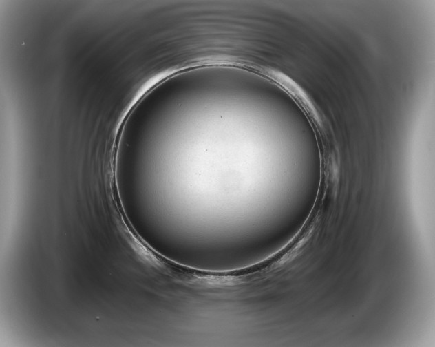 X0000087581244200704271259