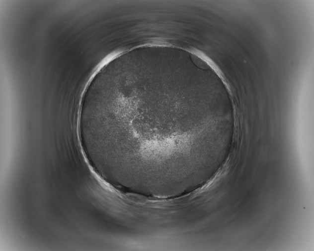 X0000087581245200704271259