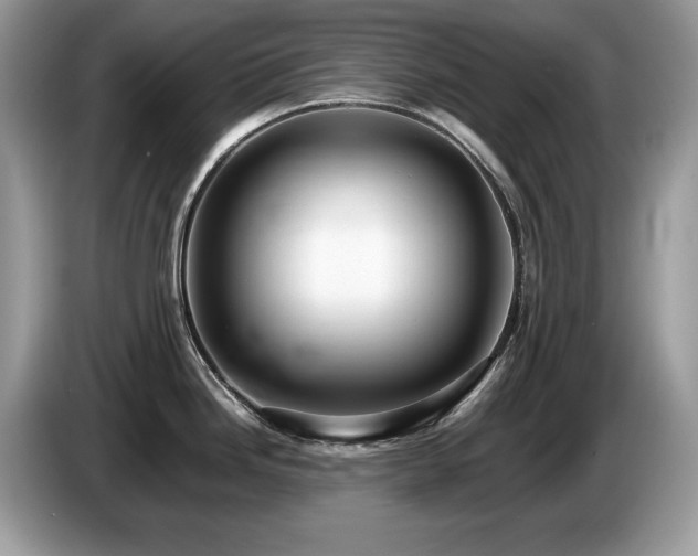 X0000087581246200704271259