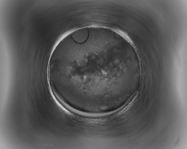 X0000087581247200704271259