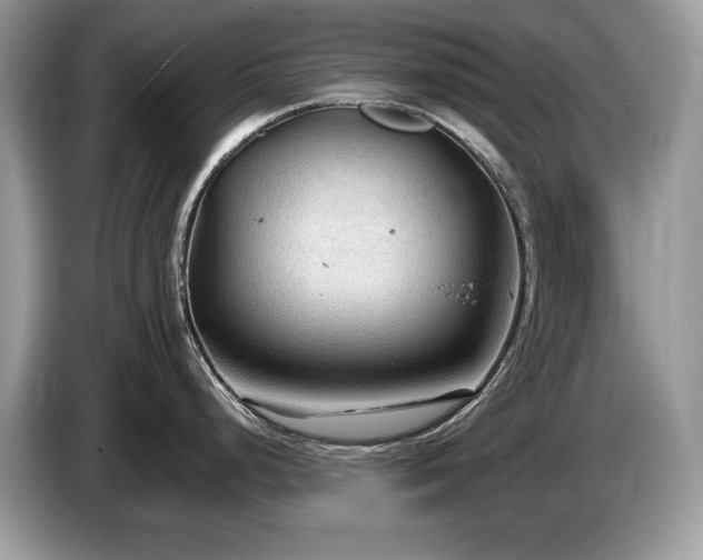 X0000087581248200704271259