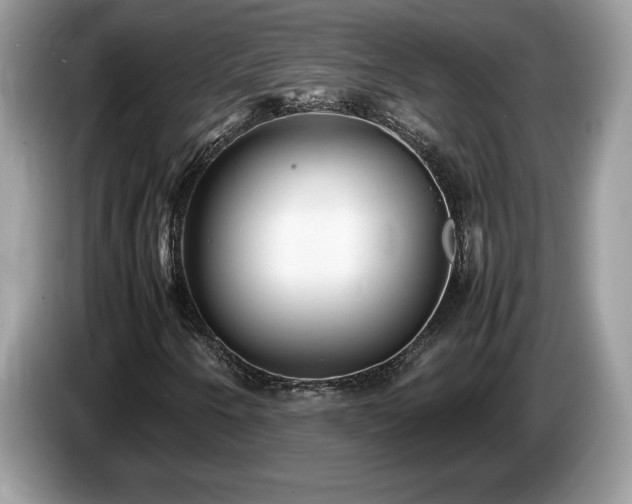X0000087581250200704271259