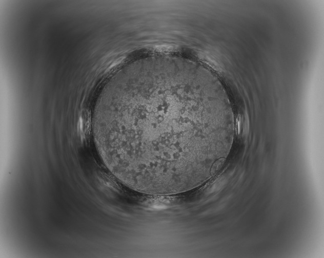X0000087581251200704271259