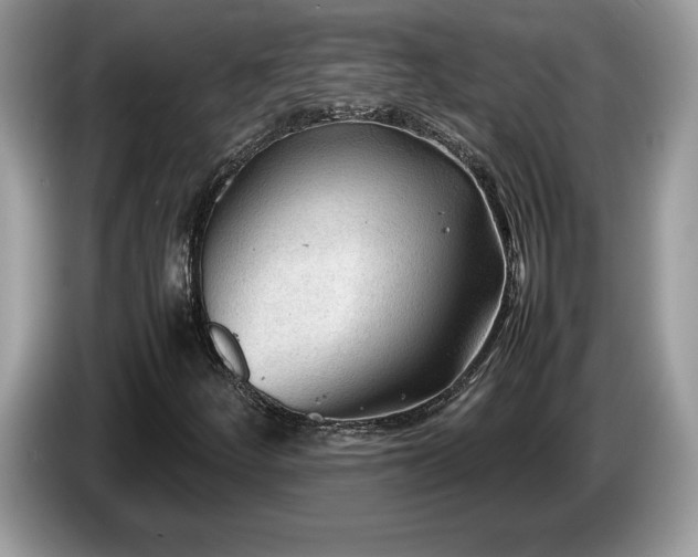 X0000087581252200704271259