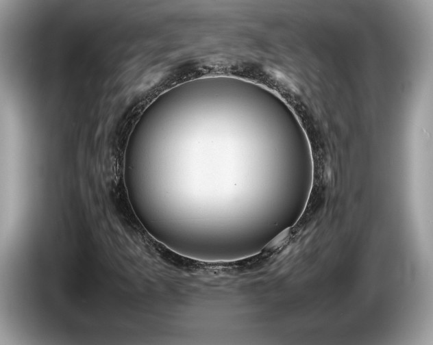 X0000087581253200704271259