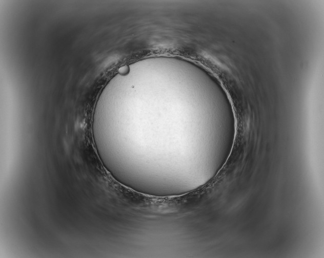 X0000087581254200704271259
