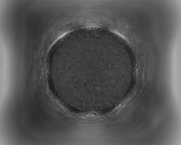 X0000087581255200704271259