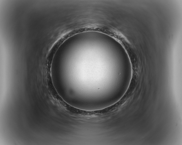 X0000087581256200704271259