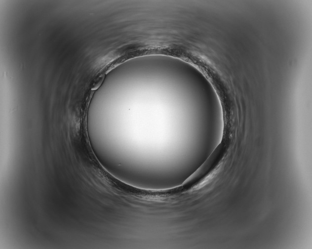 X0000087581257200704271259