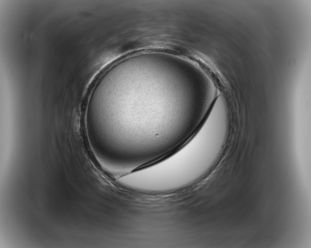X0000087581260200704271259