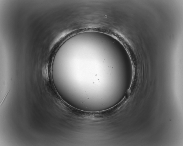 X0000087581262200704271259