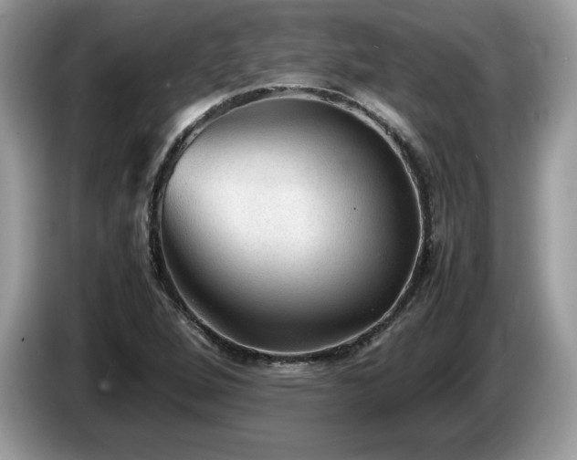 X0000087581264200704271259