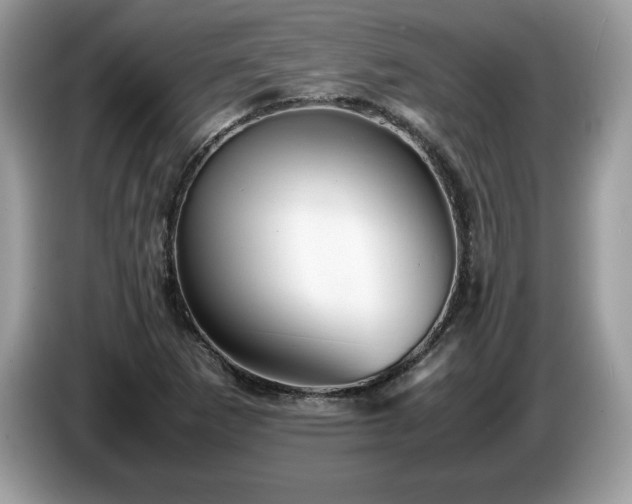 X0000087581265200704271259
