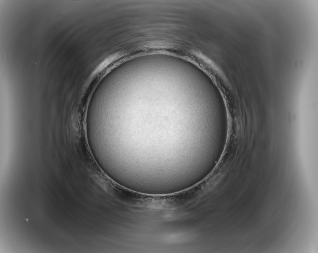 X0000087581266200704271259