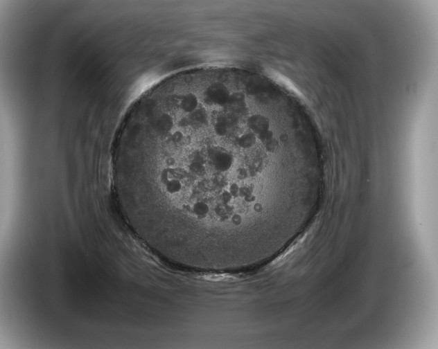 X0000087581267200704271259