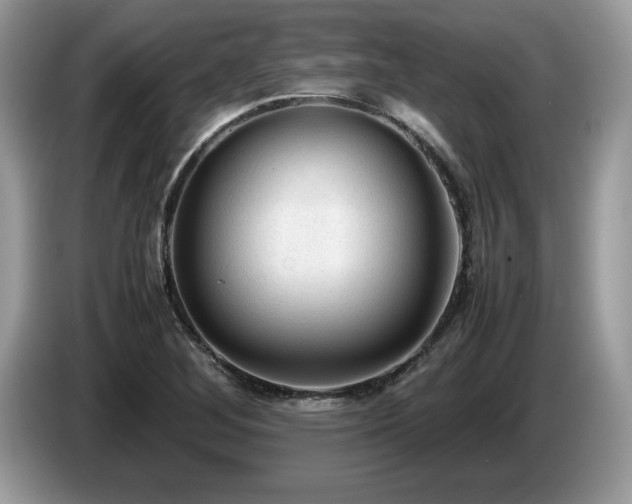 X0000087581268200704271259