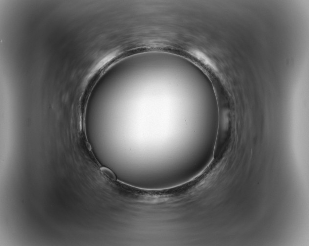 X0000087581269200704271259