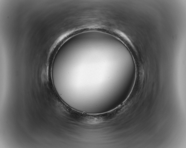 X0000087581270200704271259