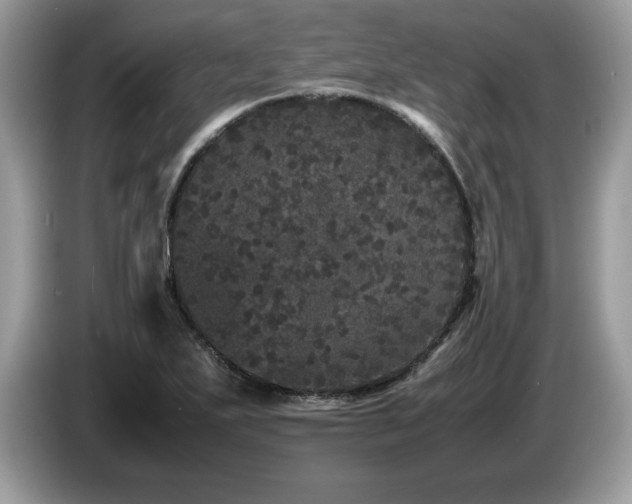 X0000087581271200704271259