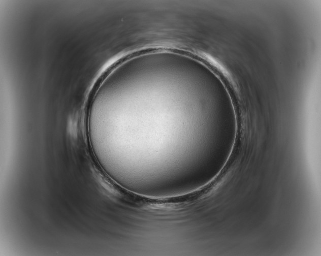 X0000087581272200704271259
