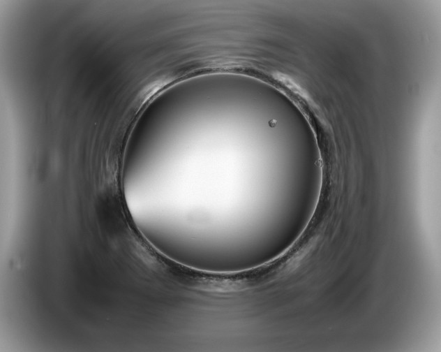 X0000087581273200704271258