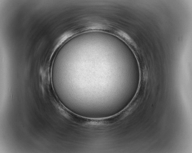 X0000087581274200704271258