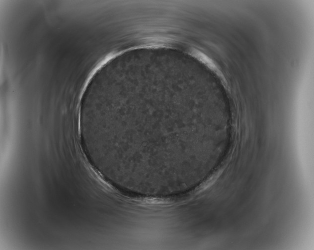 X0000087581275200704271258