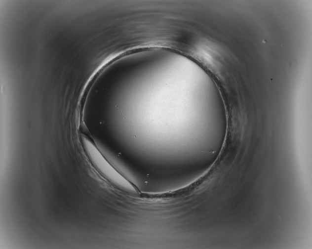 X0000087581276200704271258