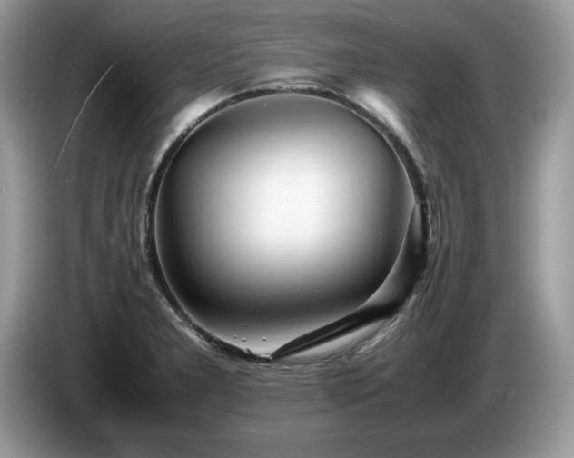 X0000087581277200704271258
