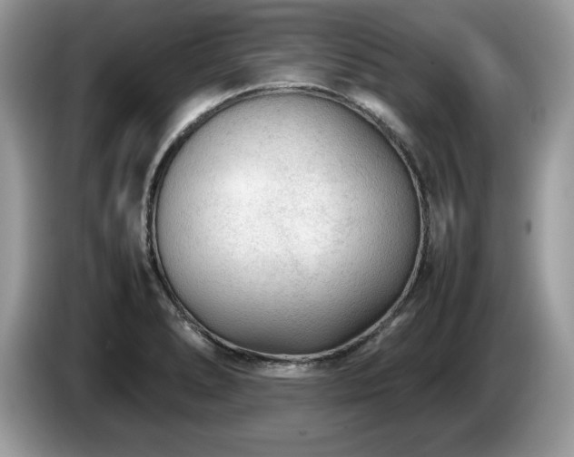 X0000087581278200704271258