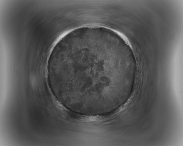 X0000087581279200704271258
