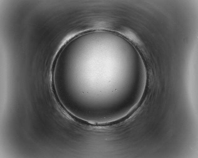 X0000087581280200704271258
