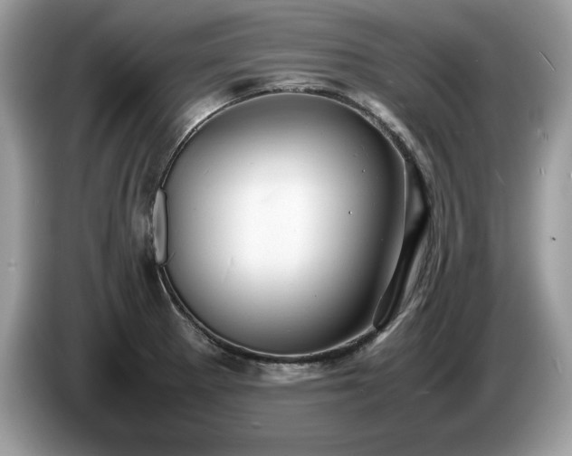 X0000087581281200704271258