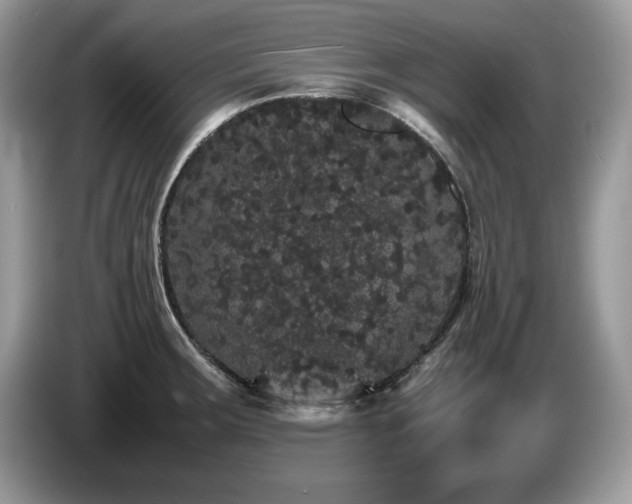 X0000087581283200704271258