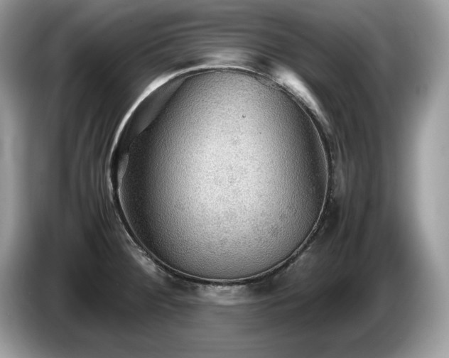 X0000087581284200704271258