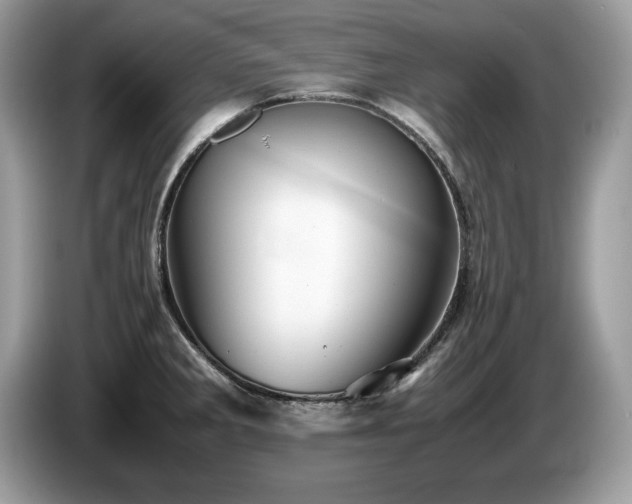 X0000087581285200704271258
