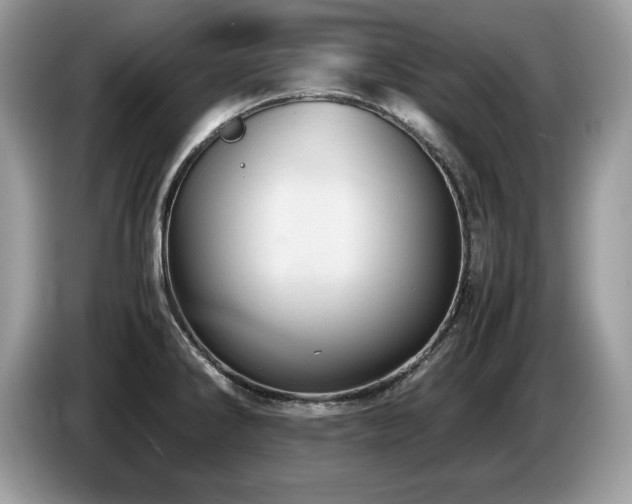 X0000087581286200704271258