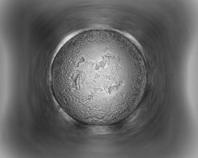 X0000087581287200704271258