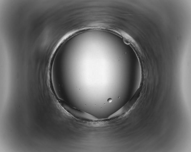 X0000087581288200704271258