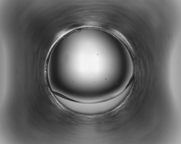 X0000087581292200704271258