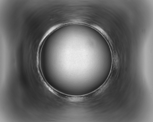 X0000087581294200704271258