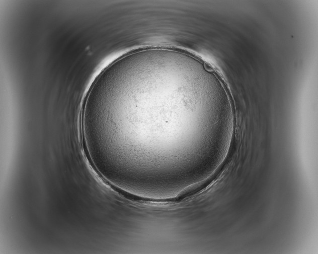 X0000087581295200704271258