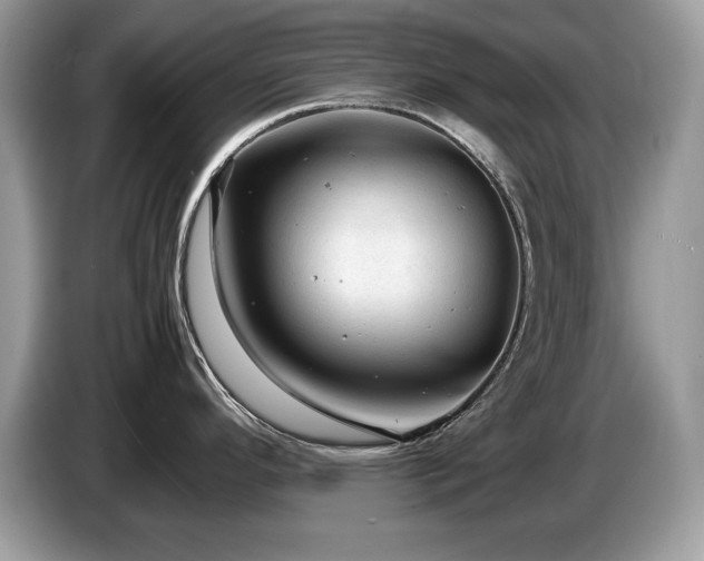X0000087581296200704271258
