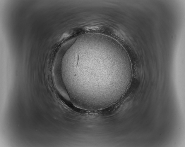 X0000087581297200704271258