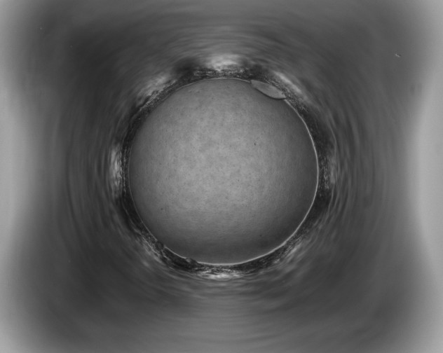 X0000087581298200704271258