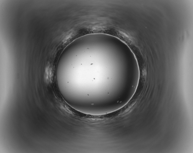 X0000087581300200704271258